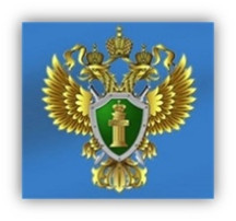 РЕАЛИЗАЦИЯ НАЦИОНАЛЬНОГО ПРОЕКТА «БЕЗОПАСНЫЕ И КАЧЕСТВЕННЫЕ АВТОМОБИЛЬНЫЕ ДОРОГИ» РЕАЛИЗАЦИЯ НАЦИОНАЛЬНОГО ПРОЕКТА «БЕЗОПАСНЫЕ И КАЧЕСТВЕННЫЕ АВТОМОБИЛЬНЫЕ ДОРОГИ».