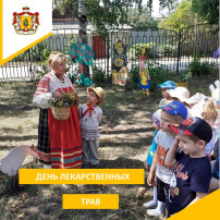 День лекарственных растений. День лекарственных растений.